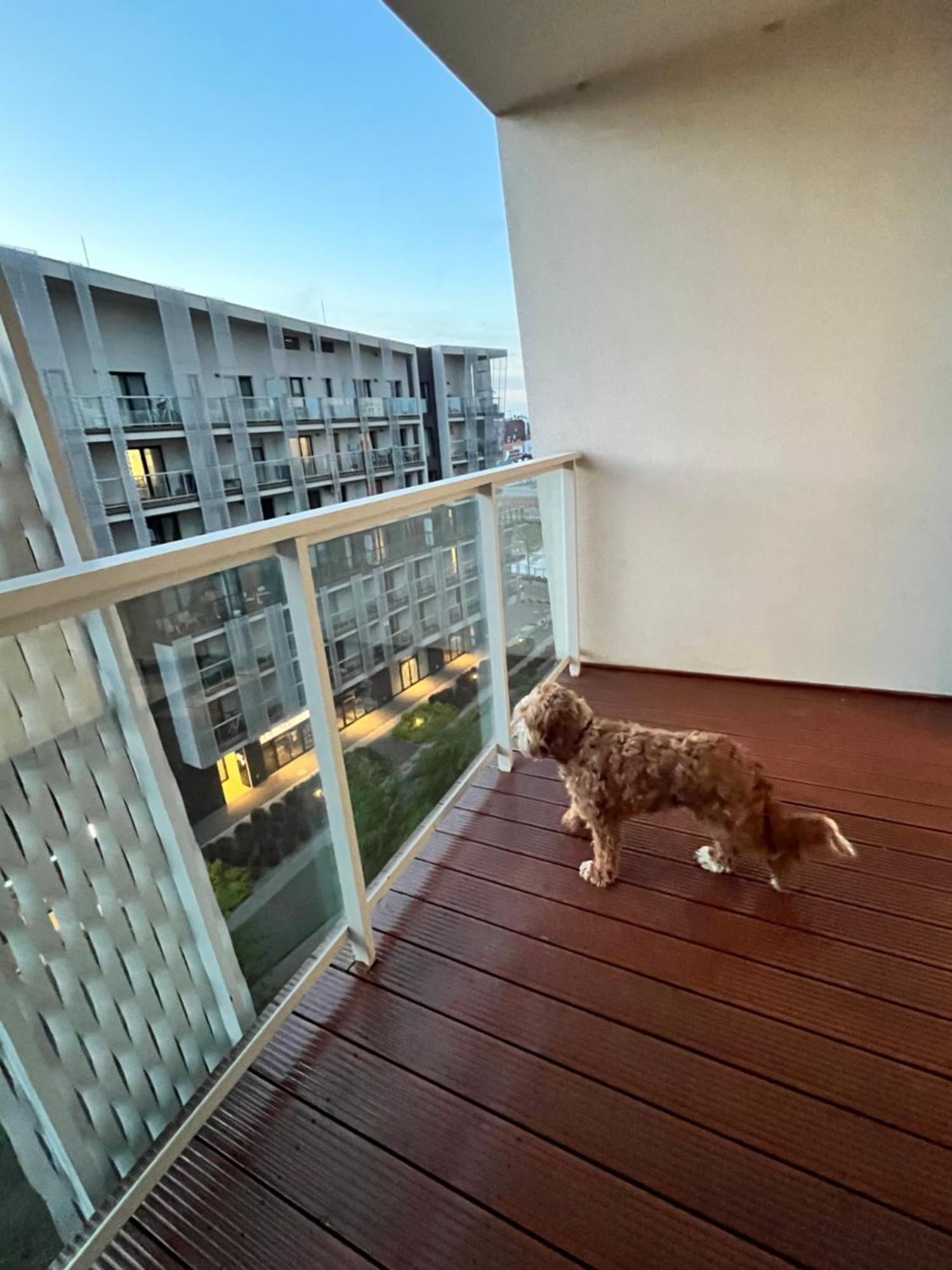 Family House By The River Odra -Panoramic Terrace - 3Room Apartment With 2 Separate Bedrooms And 2 Balconies By Wroapart-Pl- Perfect For Family & Business Stays Wroclaw Luaran gambar